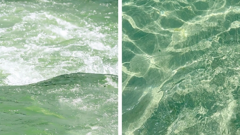 Ảnh màu xanh lá cây nhạt mang sự tinh tế nhẹ nhàng