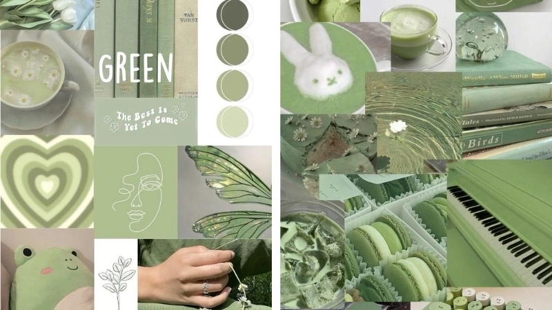 Hình ảnh cute màu xanh lá cây khiến ai cũng mỉm cười