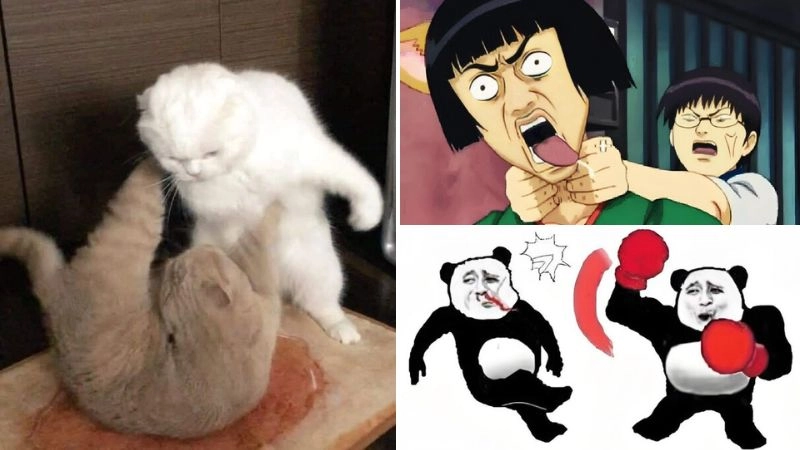 Meme đấm tạo cảm giác phẫn nộ nhưng hài hước
