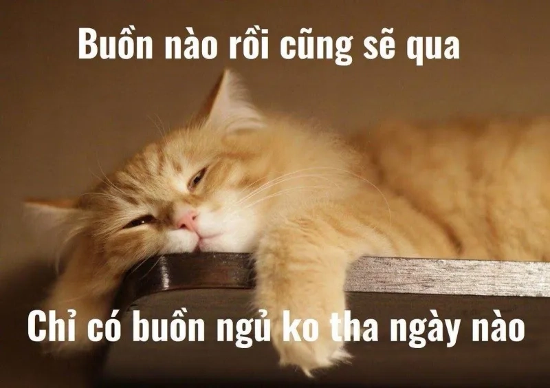 Meme chúc ngủ ngon kinh dị run rẩy cả đêm