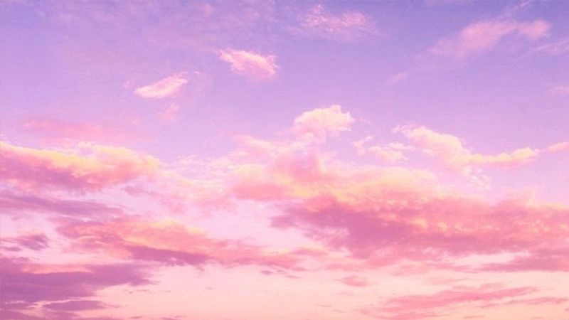 Avatar trái tim màu hồng dành cho người yêu lãng mạn