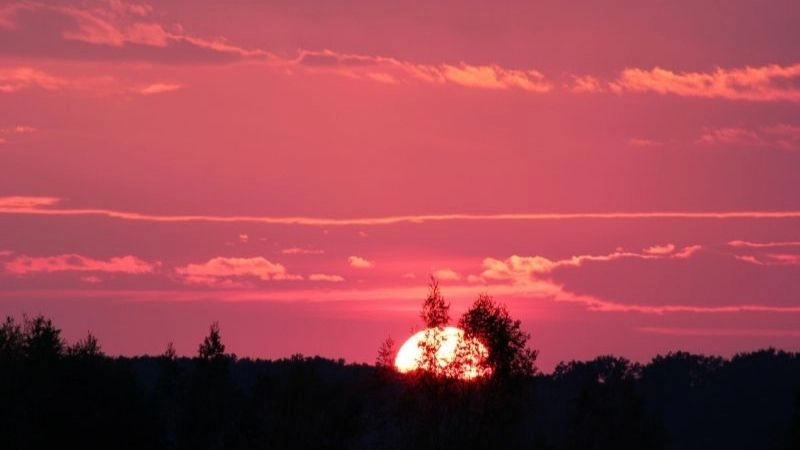 Hình nền màu hồng xinh khiến giao diện trở nên nhẹ nhàng