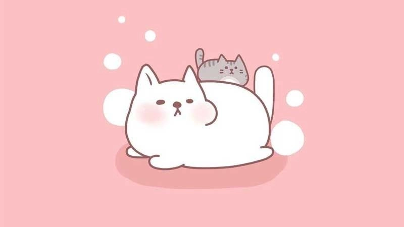 Ảnh đại diện màu hồng nhẹ nhàng và cuốn hút