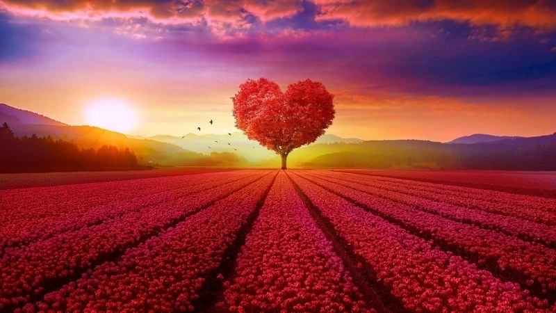 Avatar chibi nữ cute màu hồng ngọt ngào như kẹo bông