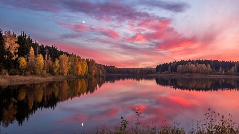 Ava màu hồng đơn giản nhưng đầy cuốn hút và ngọt ngào