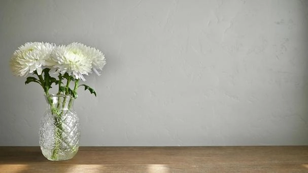 Hoa cúc trắng nhỏ nở lặng lẽ bên vệ đường