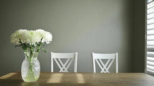 Hình hoa cúc trắng biểu tượng sự tinh khôi