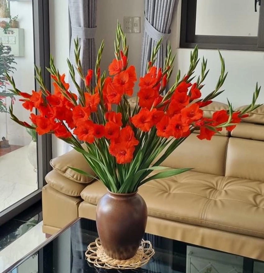 Ý nghĩa của hoa lay ơn đỏ là dũng cảm