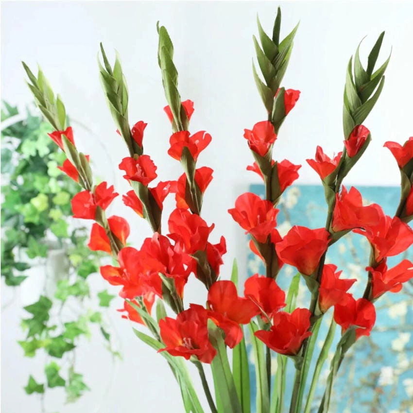 Bông hoa lay ơn cao vút như ngọn giáo thẳng