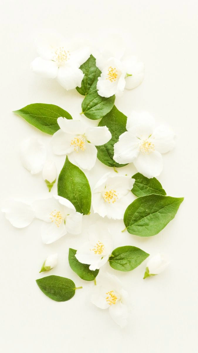 Hình nền đen trắng cho iPhone cực cool và tối giản