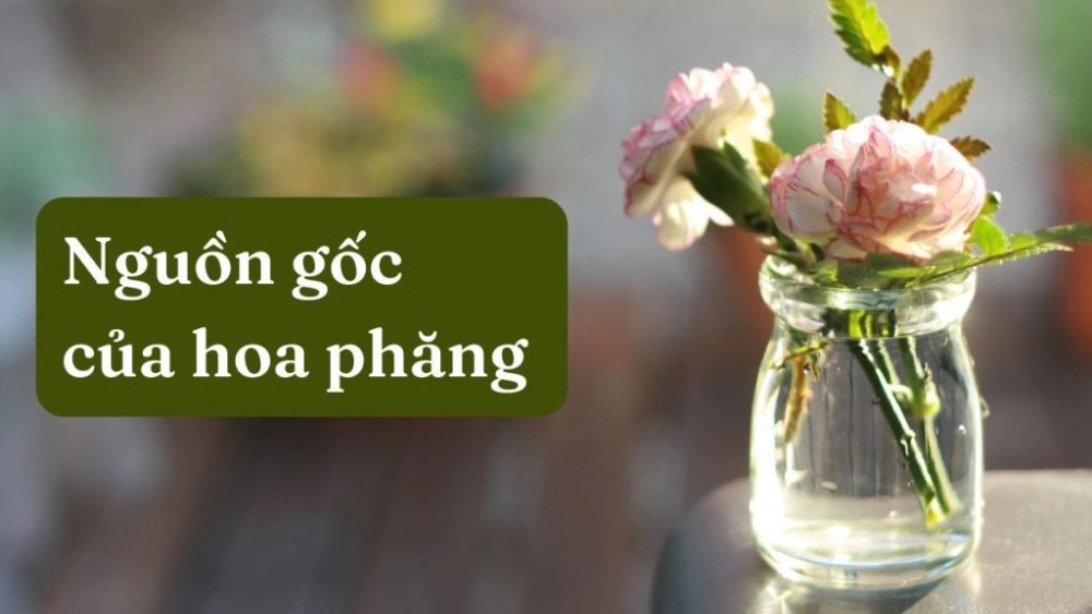 Mê mẩn với cách cắm hoa phăng đẹp hút mắt