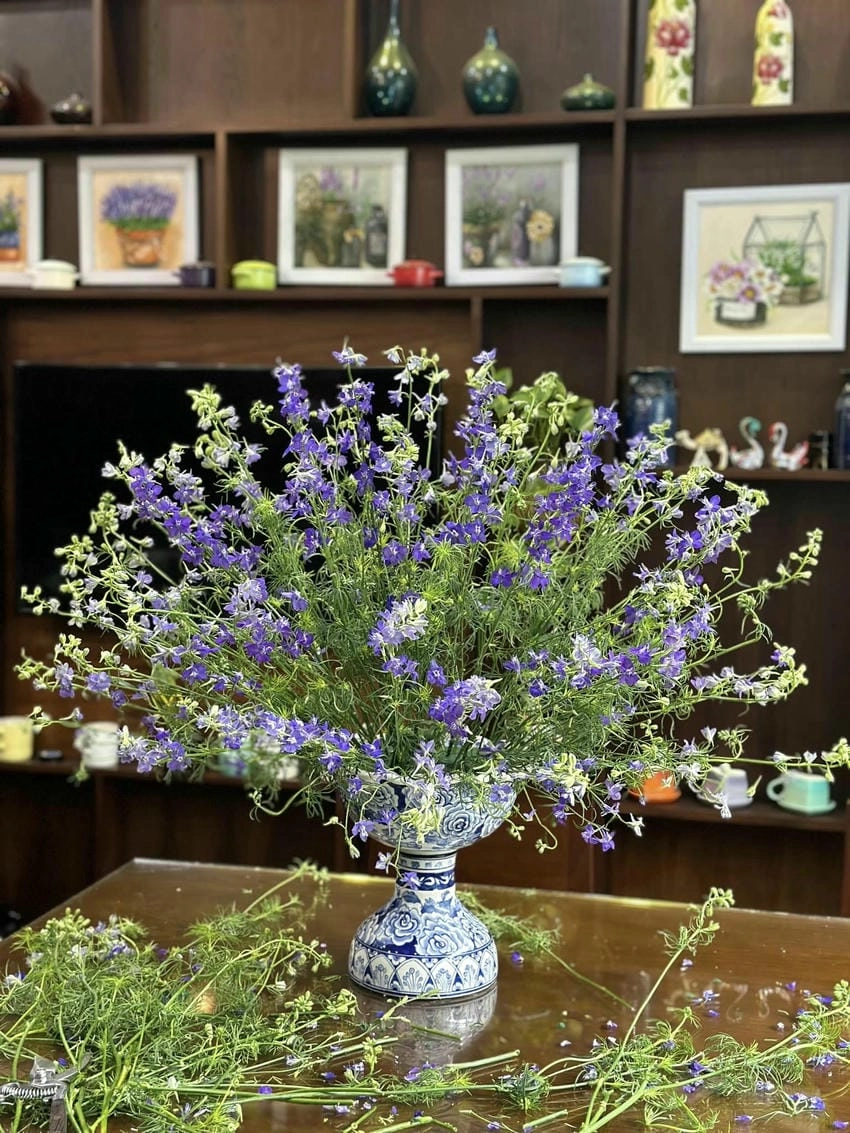 Hoa vi ô lét là cách gọi khác của hoa violet