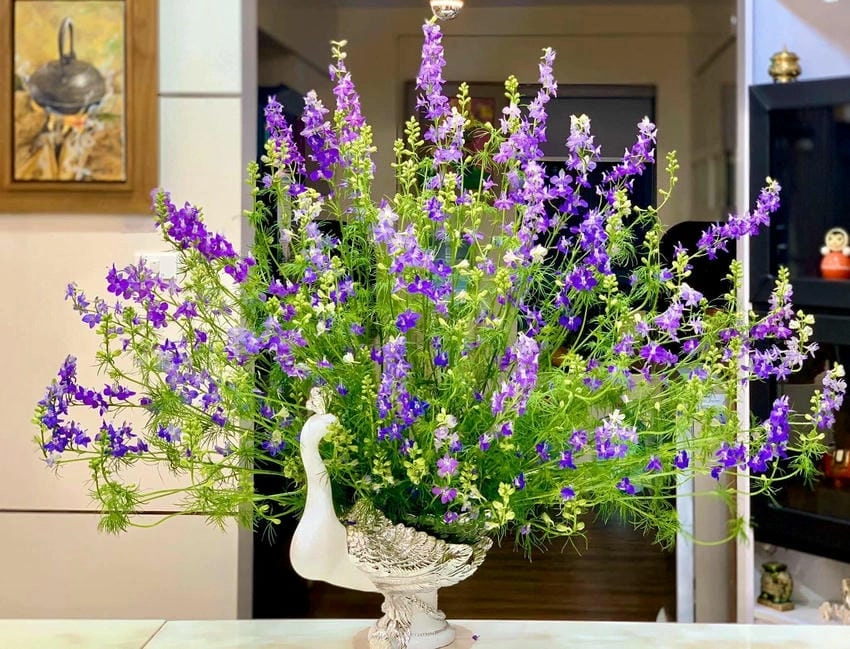 Hoa violet là gì, là loài hoa nhỏ mang vẻ đẹp tinh tế