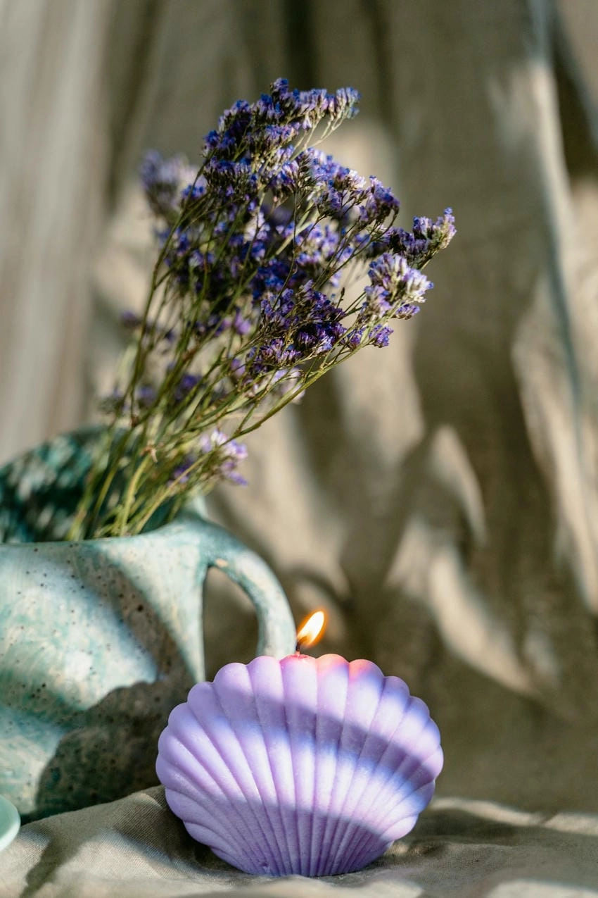 Hoa violet ý nghĩa là yêu không cần đáp lại