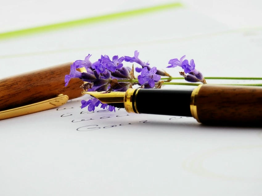 Hình ảnh hoa violet gợi cảm giác bình yên dịu ngọt