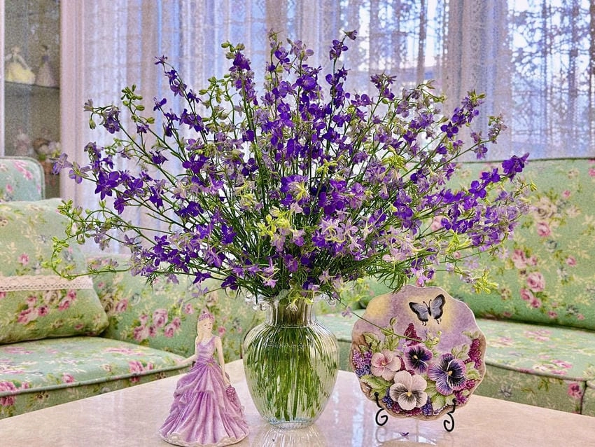 Hình ảnh hoa violet tím khiến lòng người xao xuyến