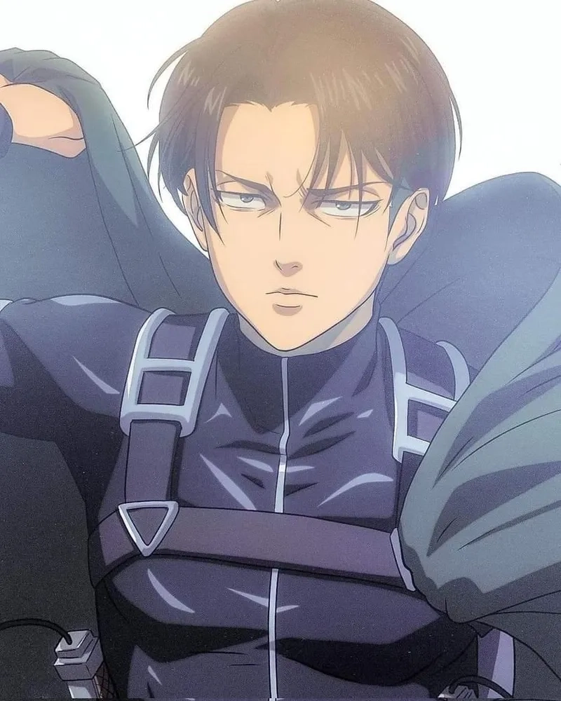 Ảnh PNG chất lượng cao về Levi png