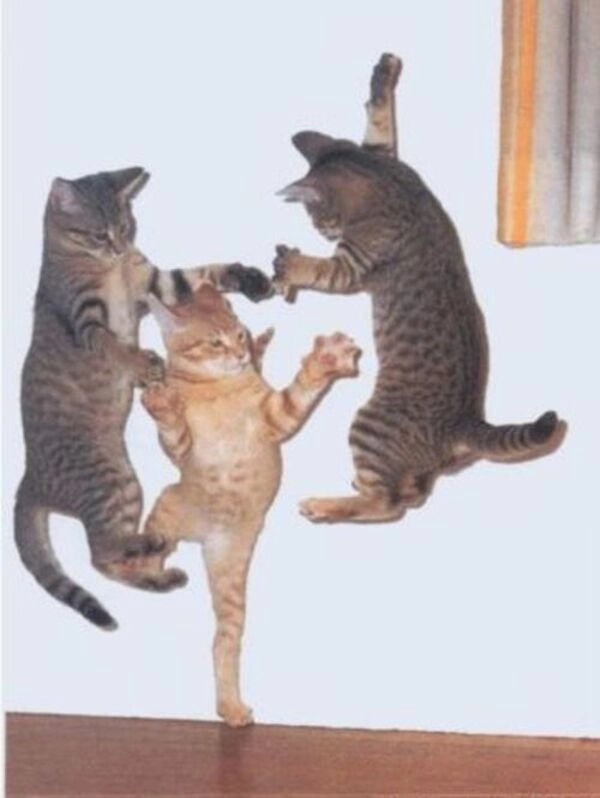 Meme đấm nhau ko viết tắt vẫn gây cười