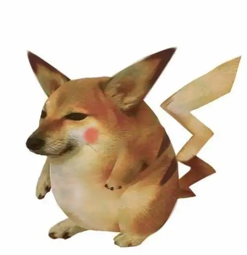 Các con vật meme đáng yêu và lầy lội