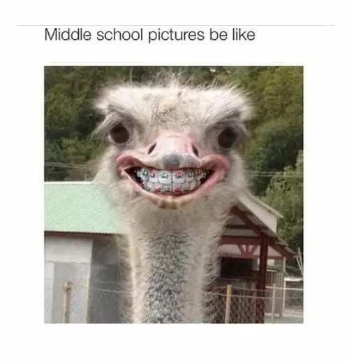 Hình meme con vật khiến người xem bật cười