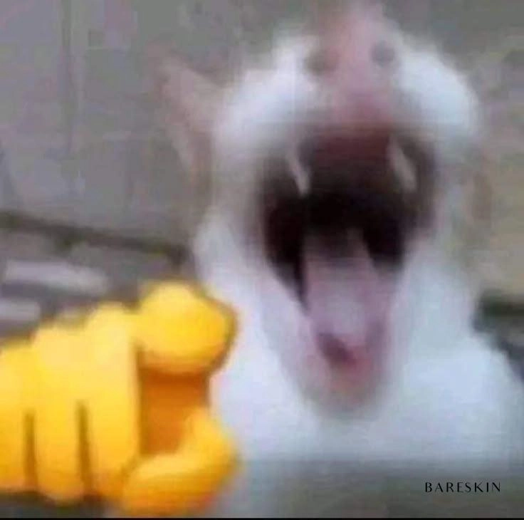Meme cười haha kiểu “à há, biết mà”