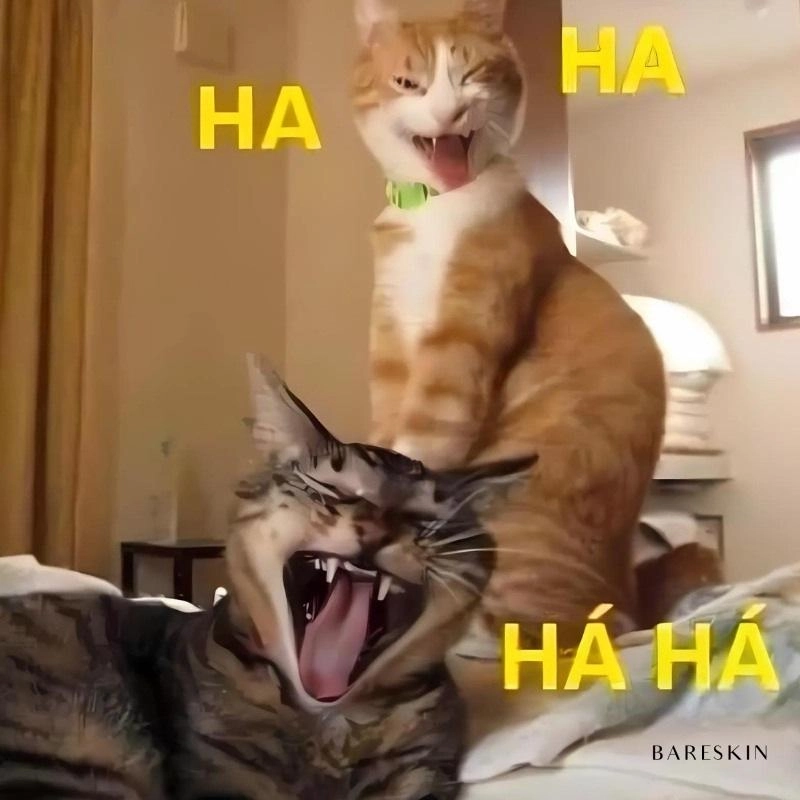 Meme ảnh hài hước không xem là tiếc