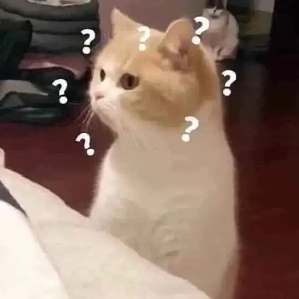 Hình ảnh meme chấm hỏi phản ứng cực đỉnh