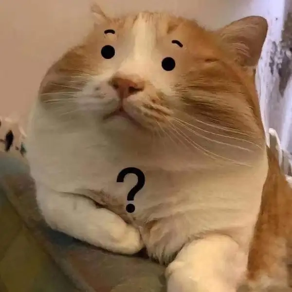 Ảnh meme dấu chấm hỏi cực kỳ ngộ nghĩnh