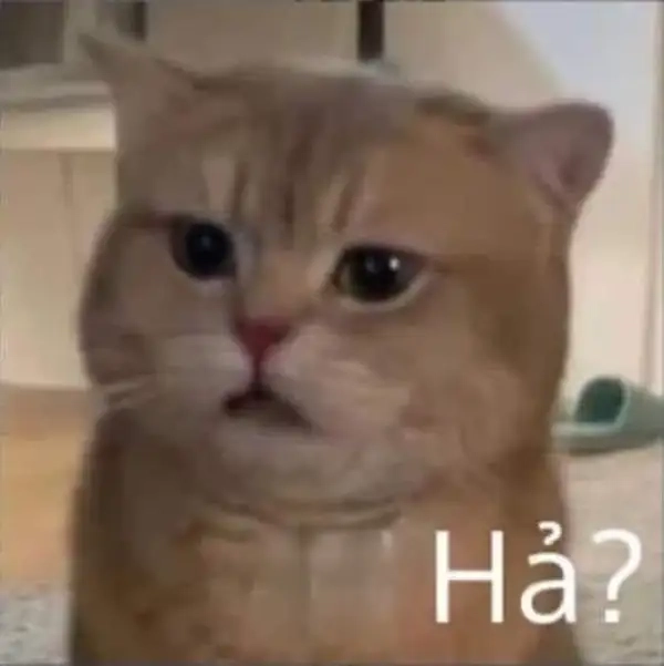 Meme biểu cảm chấm hỏi siêu phù hợp tình huống