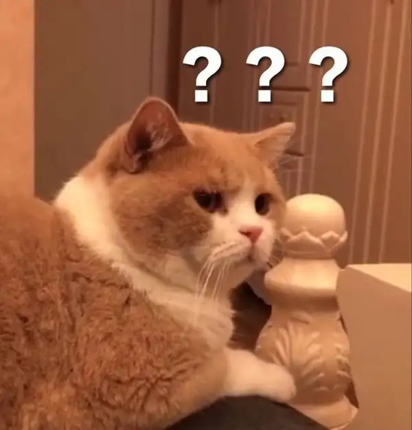 Meme hỏi chấm mang cảm xúc vừa buồn vừa hài