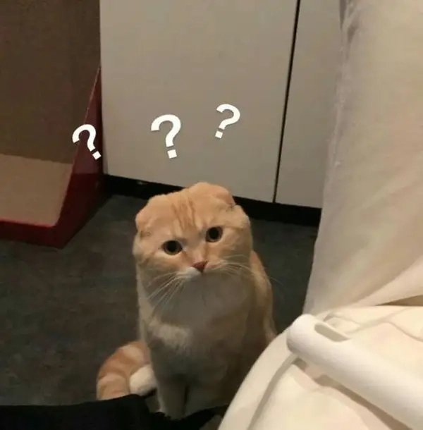 Ảnh meme chấm hỏi cho tình huống ngớ người