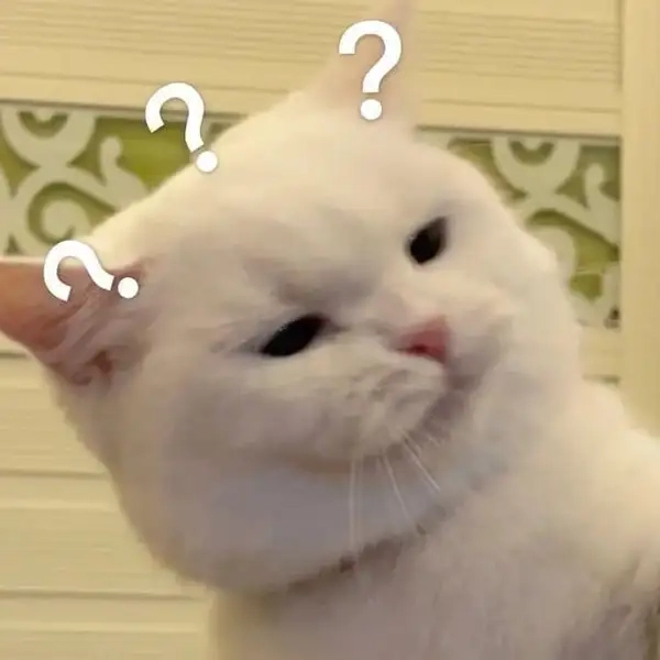 Mặt meme hỏi chấm phù hợp khi không tin được