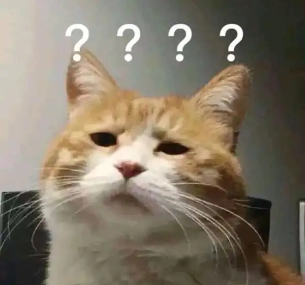 Meme hỏi chấm dùng khi bạn bị giật plot twist