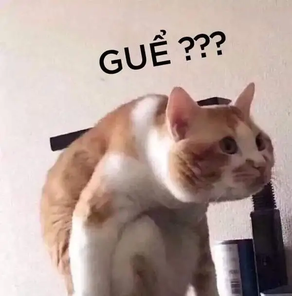 Meme hỏi chấm xuất hiện mọi nơi trên mạng