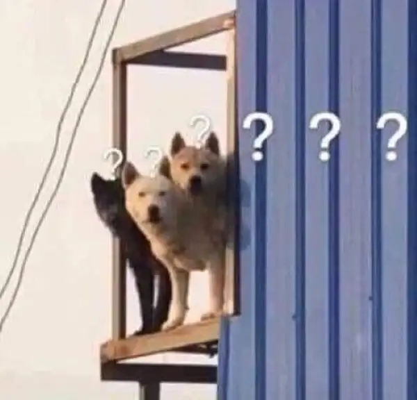 Meme chấm hỏi được dân meme cực kỳ ưa chuộng