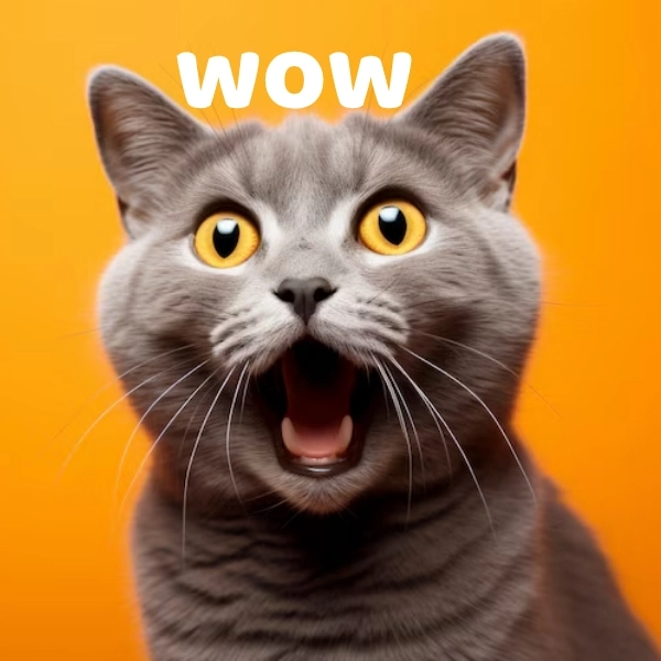 Meme wow chii ngây thơ mà đỉnh không tưởng