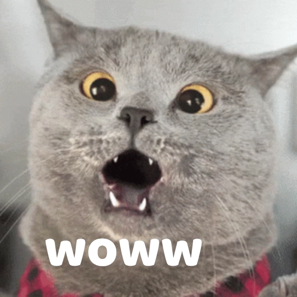 Meme wow meme no copyright tha hồ dùng free