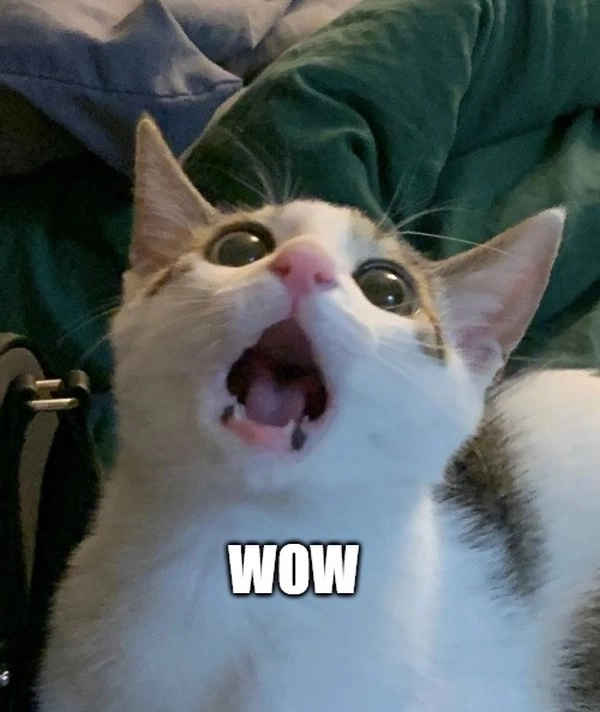 Wow meme song khiến video thêm sinh động