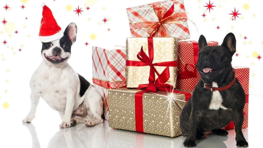 Meme quà Noel bất ngờ khiến tim muốn xỉu