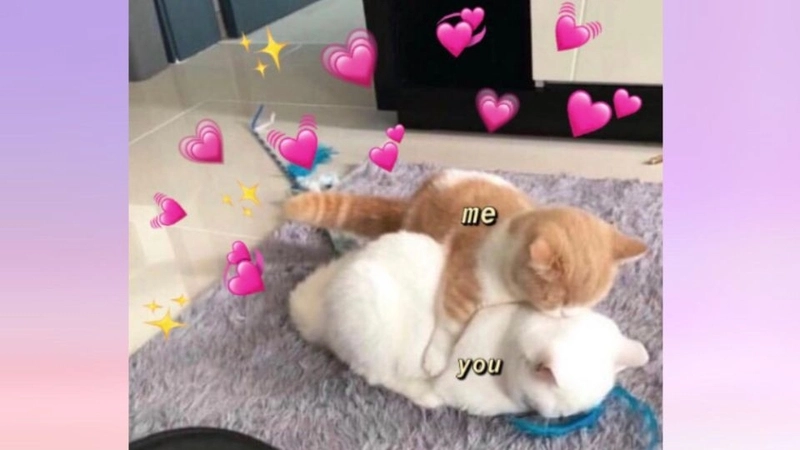 Giang tay ôm meme vòng tay chở che dịu dàng