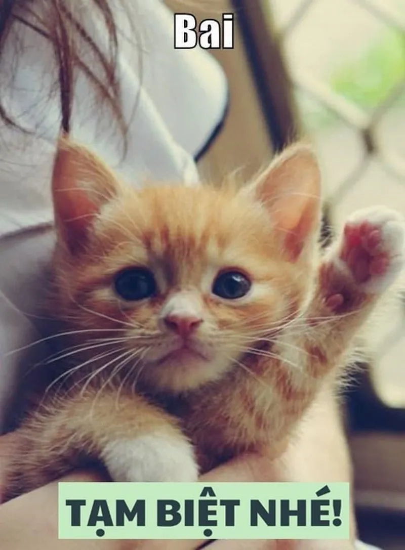 Ảnh tạm biệt cute vẫy tay đầy lưu luyến