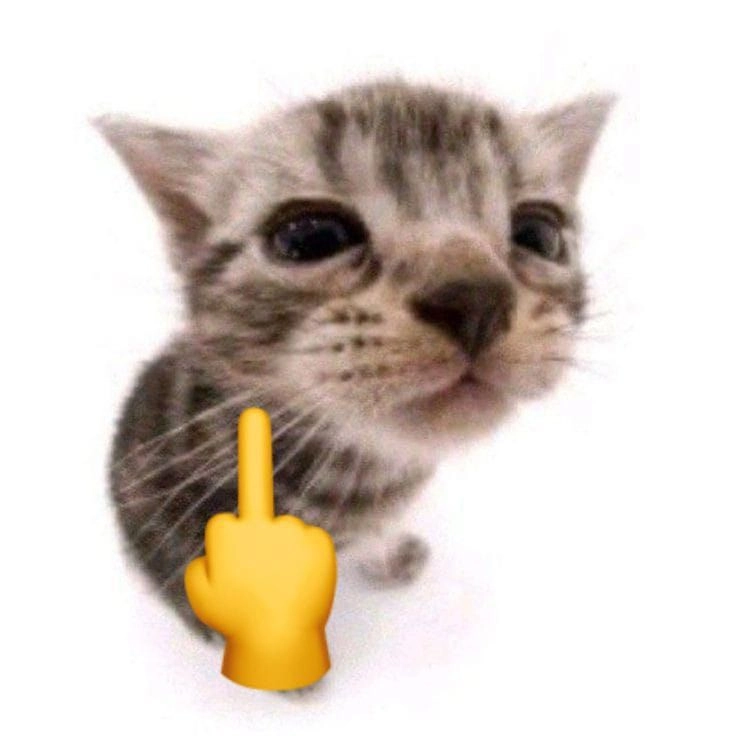 Meme mèo hình ảnh ngón tay giữa ngầu cực đỉnh