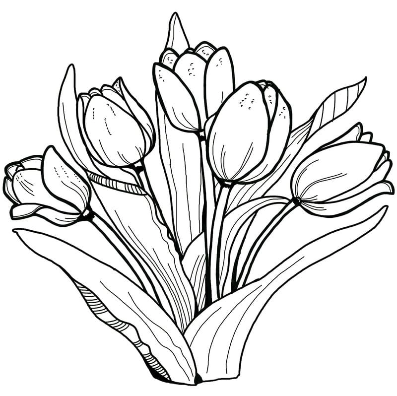 Tranh tô màu bông hoa tulip duyên dáng tinh tế