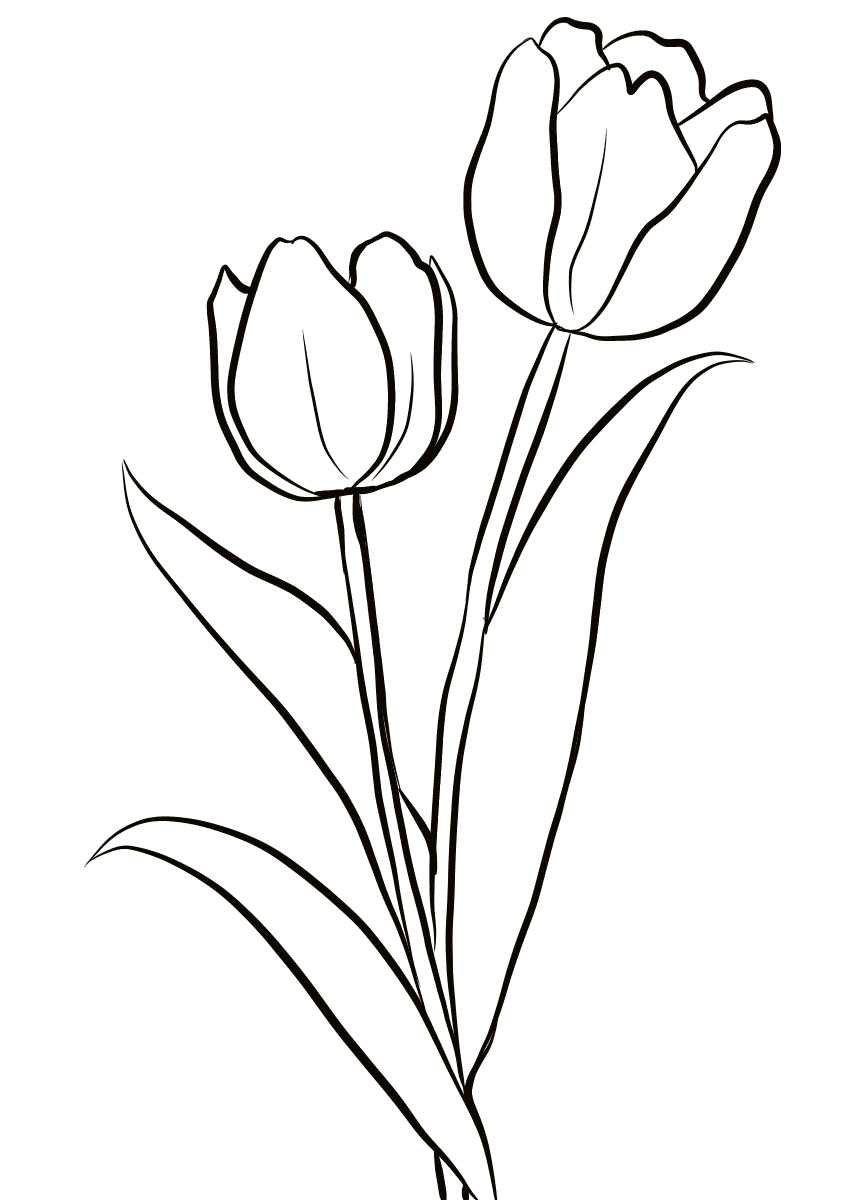 Tranh tô màu bông hoa tulip đẹp mềm mại