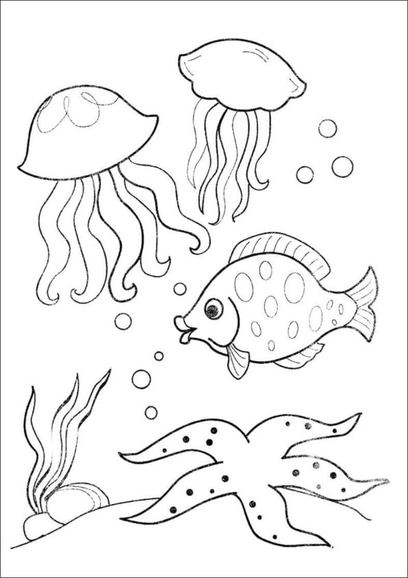 Tranh tô màu con vật cute thu hút mọi ánh nhìn