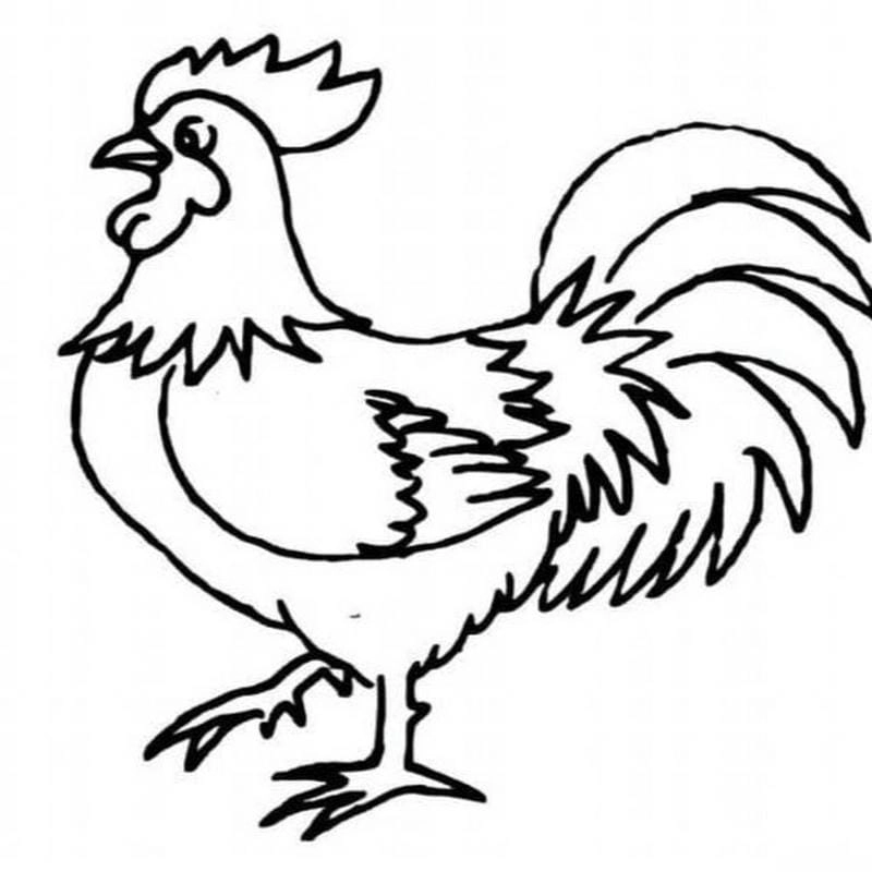 Ngộ nghĩnh tranh tô màu con vật sống trong rừng