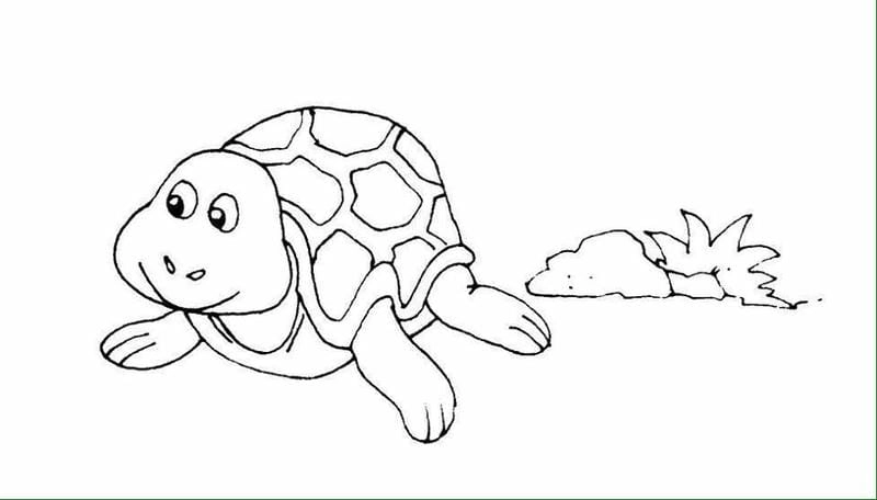 Tranh tô màu con vật cho bé 4 tuổi cực xinh