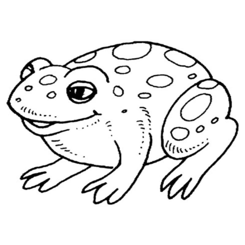 Tải tranh tô màu con vật miễn phí dễ dàng