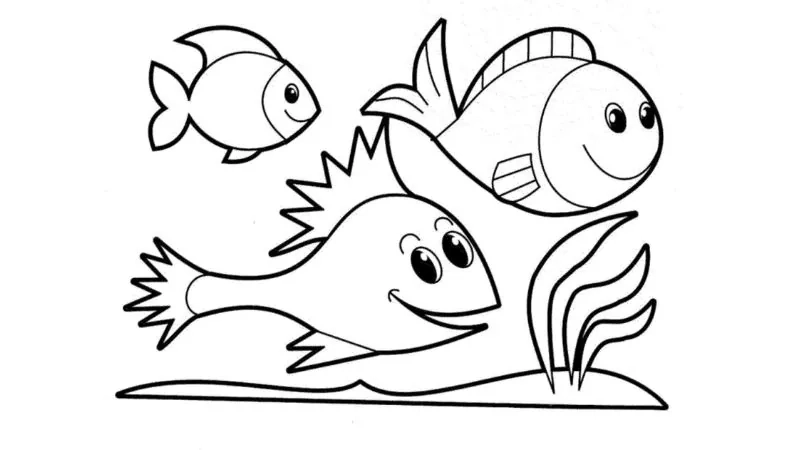Tranh tô màu con vật dưới nước cực bắt mắt