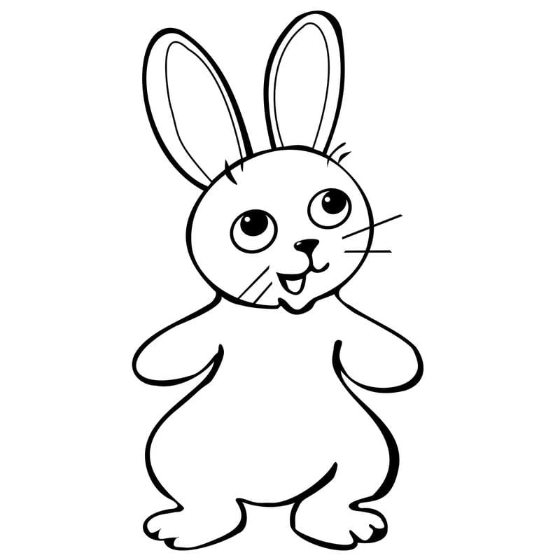 Tranh tô màu con vật cute sinh động đáng yêu